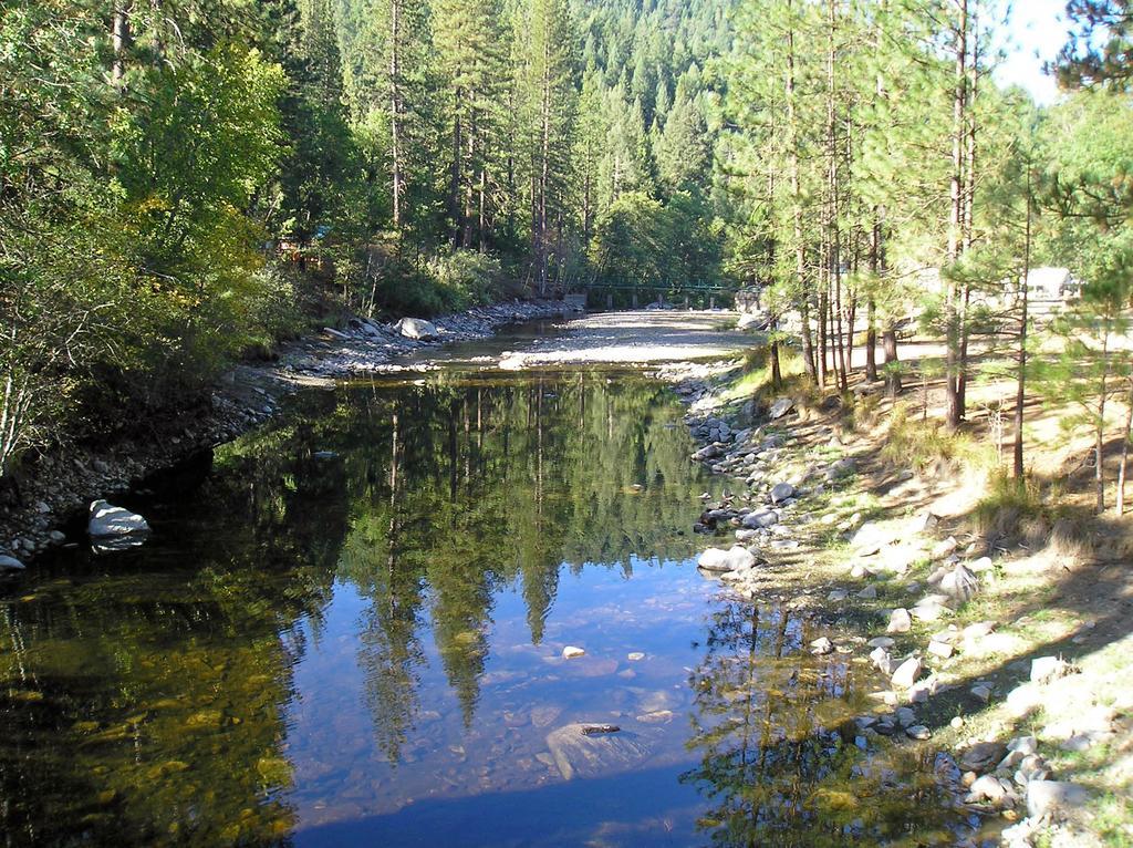 Yosemite Lakes Cabin 40 Harden Flat Buitenkant foto